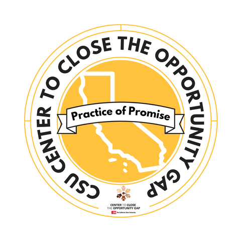 CCOG Practice of Promise Badge